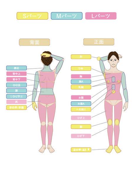 メンズ脱毛部位図