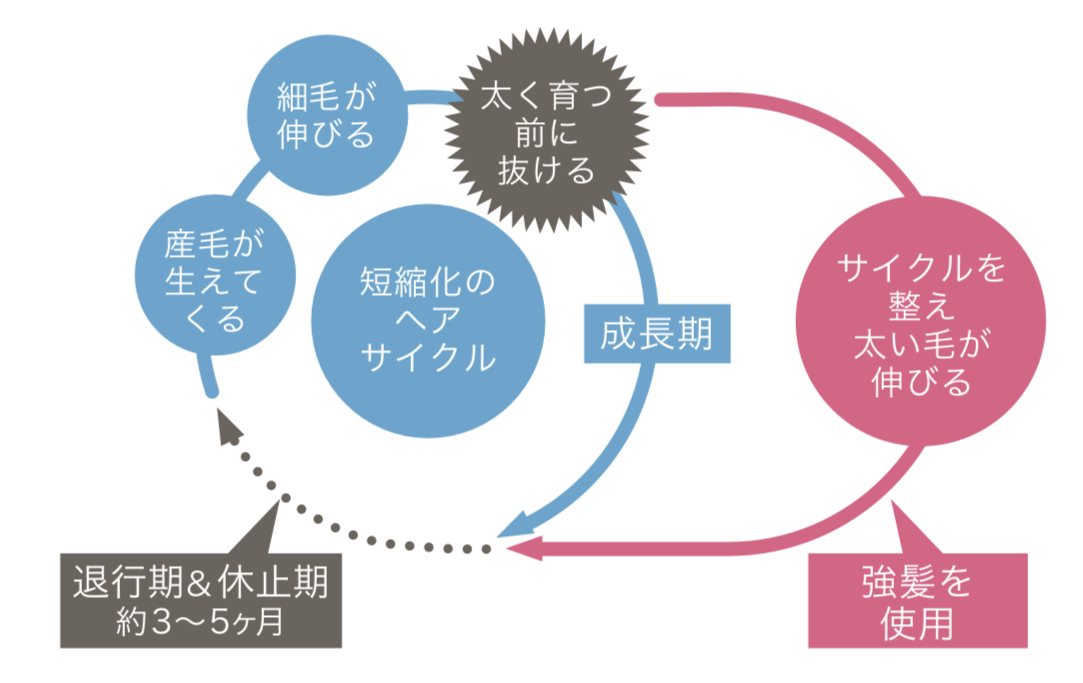 頭皮ケア施術